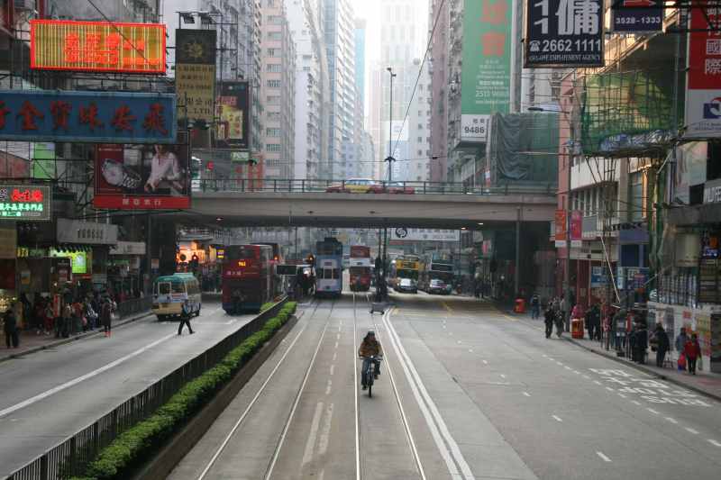 Nieuw-Zeeland 2011 - 0067